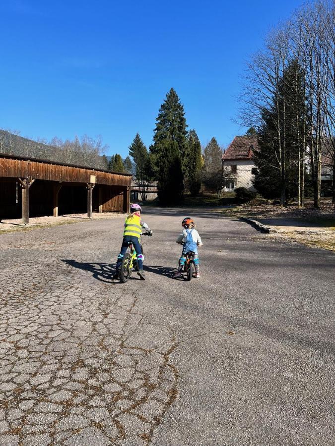 Ferme Des Jonquilles 15P - Billard, Ps4, Salle De Sport Villa Gérardmer Exteriör bild