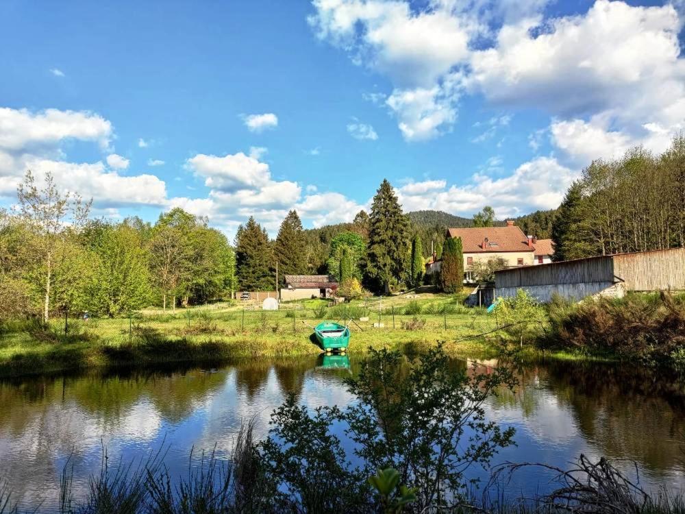 Ferme Des Jonquilles 15P - Billard, Ps4, Salle De Sport Villa Gérardmer Exteriör bild