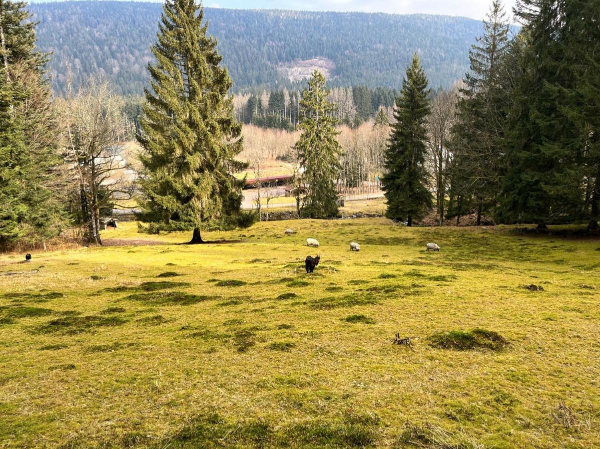 Ferme Des Jonquilles 15P - Billard, Ps4, Salle De Sport Villa Gérardmer Exteriör bild