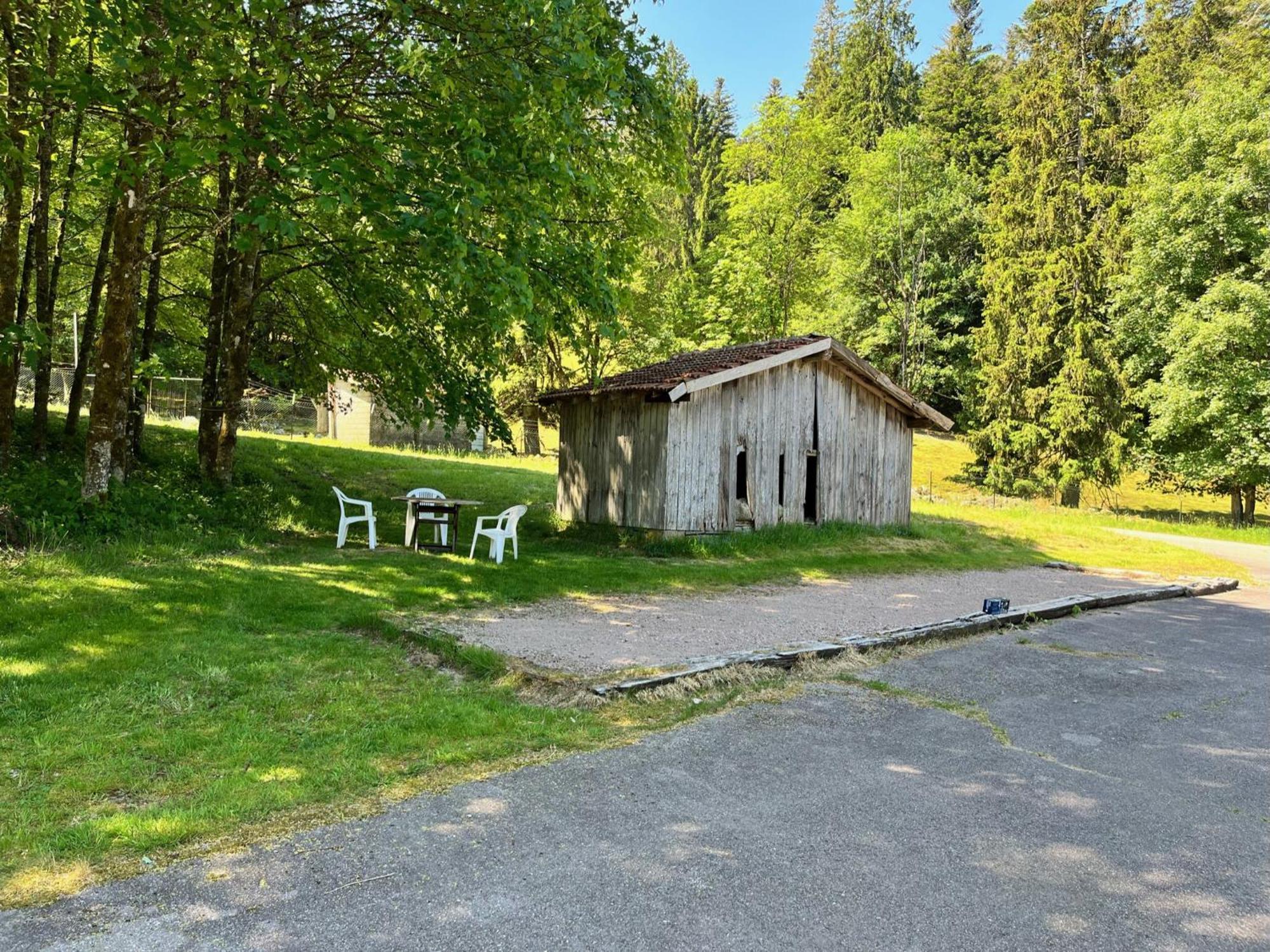 Ferme Des Jonquilles 15P - Billard, Ps4, Salle De Sport Villa Gérardmer Exteriör bild